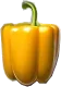 болгарский перец